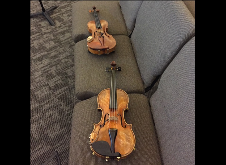 Violins